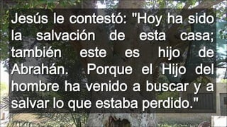 Jesús le contestó: "Hoy ha sido
la salvación de esta casa;
también este es hijo de
Abrahán. Porque el Hijo del
hombre ha venido a buscar y a
salvar lo que estaba perdido."

 