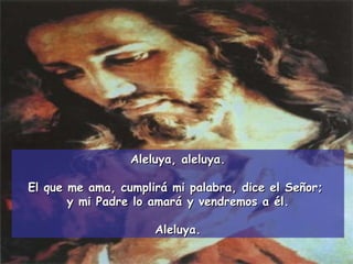 Aleluya, aleluya. El que me ama, cumplirá mi palabra, dice el Señor;  y mi Padre lo amará y vendremos a él. Aleluya. 