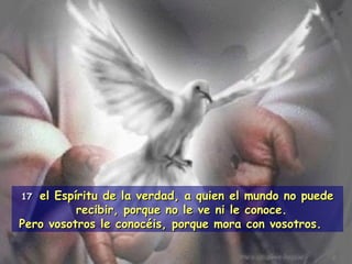 17   el Espíritu de la verdad, a quien el mundo no puede recibir, porque no le ve ni le conoce.  Pero vosotros le conocéis, porque mora con vosotros.  