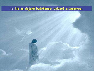 18  No os dejaré huérfanos: volveré a vosotros. 