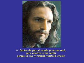 19  Dentro de poco el mundo ya no me verá, pero vosotros si me veréis, porque yo vivo y también vosotros viviréis. 
