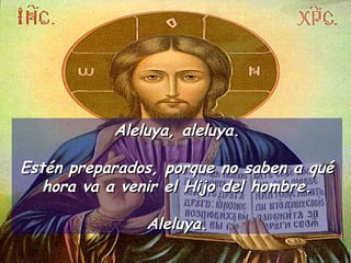 Aleluya, aleluya. Estén preparados, porque no saben a qué hora va a venir el Hijo del hombre. Aleluya. 