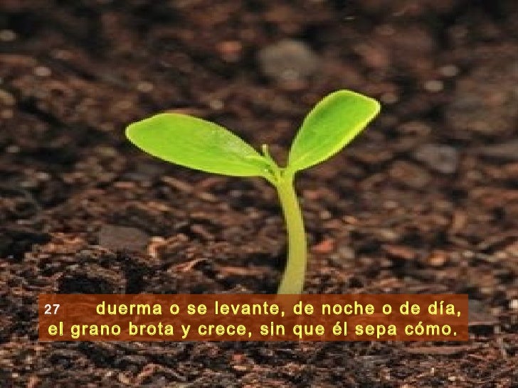 Imagen relacionada
