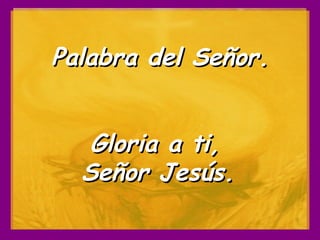 Palabra del Señor. Gloria a ti,  Señor Jesús.   