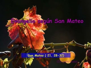 Clic para pasar Evangelio según San Mateo San Mateo ( 21, 28-32) 