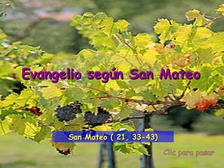 Clic para pasar Evangelio según San Mateo San Mateo ( 21, 33-43) 
