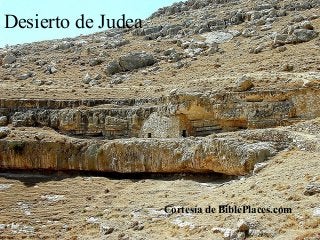 Desierto de Judea
Cortesía de BiblePlaces.com
 