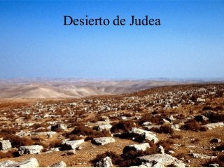 Desierto de Judea
 