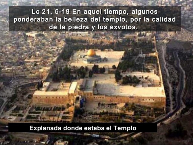 Evangelio Y Reflexión