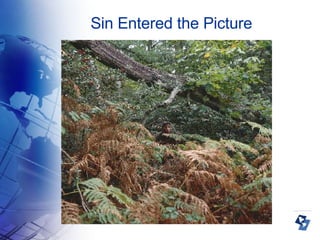 Sin Entered the Picture 