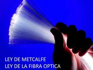 LEY DE METCALFE
LEY DE LA FIBRA OPTICA
 