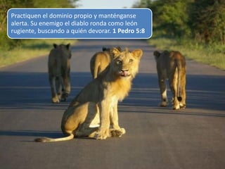 Practiquen el dominio propio y manténganse
alerta. Su enemigo el diablo ronda como león
rugiente, buscando a quién devorar. 1 Pedro 5:8
 