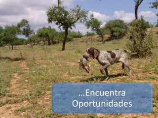 …Encuentra
Oportunidades
 