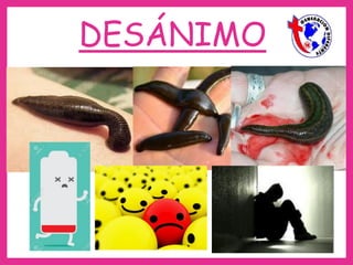 DESÁNIMO
 