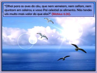 Evangeliza - Compromissos para com a vida