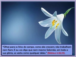 Evangeliza - Compromissos para com a vida