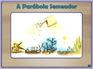 Evangeliza - Compromissos para com a vida