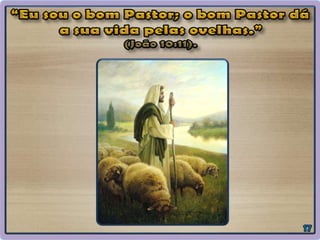 Evangeliza - Compromissos para com a vida