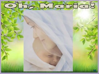 Evangeliza - Desgraça Real