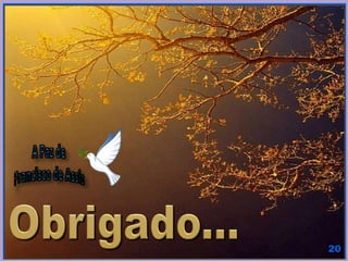 Evangelização - Francisco de Assis