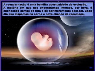 A reencarnação é uma bendita oportunidade de evolução.
A matéria em que nos encontramos imersos, por hora, é
abençoado campo de luta e de aprimoramento pessoal. Cada
dia que dispomos na carne é nova chance de recomeço.
 
