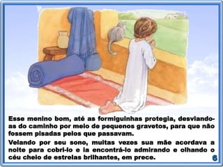 Esse menino bom, até as formiguinhas protegia, desviando-
as do caminho por meio de pequenos gravetos, para que não
fossem pisadas pelos que passavam.
Velando por seu sono, muitas vezes sua mãe acordava a
noite para cobri-lo e ia encontrá-lo admirando e olhando o
céu cheio de estrelas brilhantes, em prece.
 