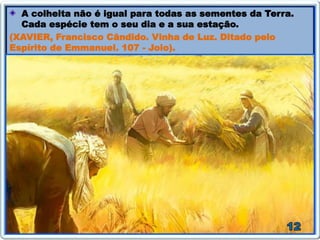 A colheita não é igual para todas as sementes da Terra.
Cada espécie tem o seu dia e a sua estação.
(XAVIER, Francisco Cândido. Vinha de Luz. Ditado pelo
Espírito de Emmanuel. 107 - Joio).
 