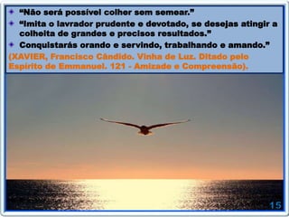 “Não será possível colher sem semear.”
“Imita o lavrador prudente e devotado, se desejas atingir a
colheita de grandes e precisos resultados.”
Conquistarás orando e servindo, trabalhando e amando.”
(XAVIER, Francisco Cândido. Vinha de Luz. Ditado pelo
Espírito de Emmanuel. 121 - Amizade e Compreensão).
 