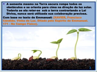 A semente mesmo na Terra escura rompe todos os
obstáculos e se orienta para cima na direção da luz solar.
Todavia se ela reter-se sob a terra contrariando a Lei
Divina, nunca será utilizada sua colaboração preciosa.
Com base no texto de Emmanuel: (XAVIER, Francisco
Cândido. Vinha de Luz. Ditado pelo Espírito de Emmanuel.
171 - No Campo Físico).
 