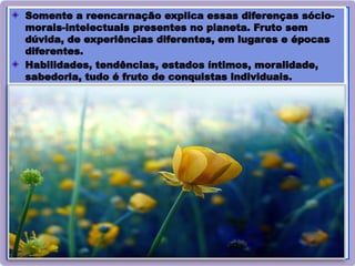 43
Somente a reencarnação explica essas diferenças sócio-
morais-intelectuais presentes no planeta. Fruto sem
dúvida, de experiências diferentes, em lugares e épocas
diferentes.
Habilidades, tendências, estados íntimos, moralidade,
sabedoria, tudo é fruto de conquistas individuais.
 
