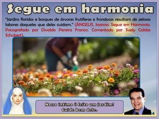“Jardins floridos e bosques de árvores frutíferas e frondosas resultam de zelosos
labores daqueles que deles cuidam.” (ÂNGELIS, Joanna. Segue em Harmonia.
Psicografado por Divaldo Pereira Franco. Comentado por Suely Caldas
Schubert).
 