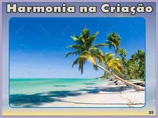 Evangeliza - Segue em Harmonia - Divaldo Franco - Joanna de Ângelis