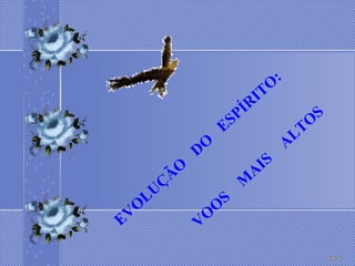 EVOLUÇÃO  DO  ESPÍRITO:  VOOS  MAIS  ALTOS 