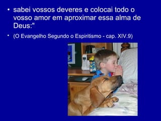 sabei vossos deveres e colocai todo o vosso amor em aproximar essa alma de Deus:"  (O Evangelho Segundo o Espiritismo - cap. XIV.9)   