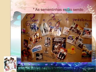 * As sementinhas estão sendo plantadas! 
