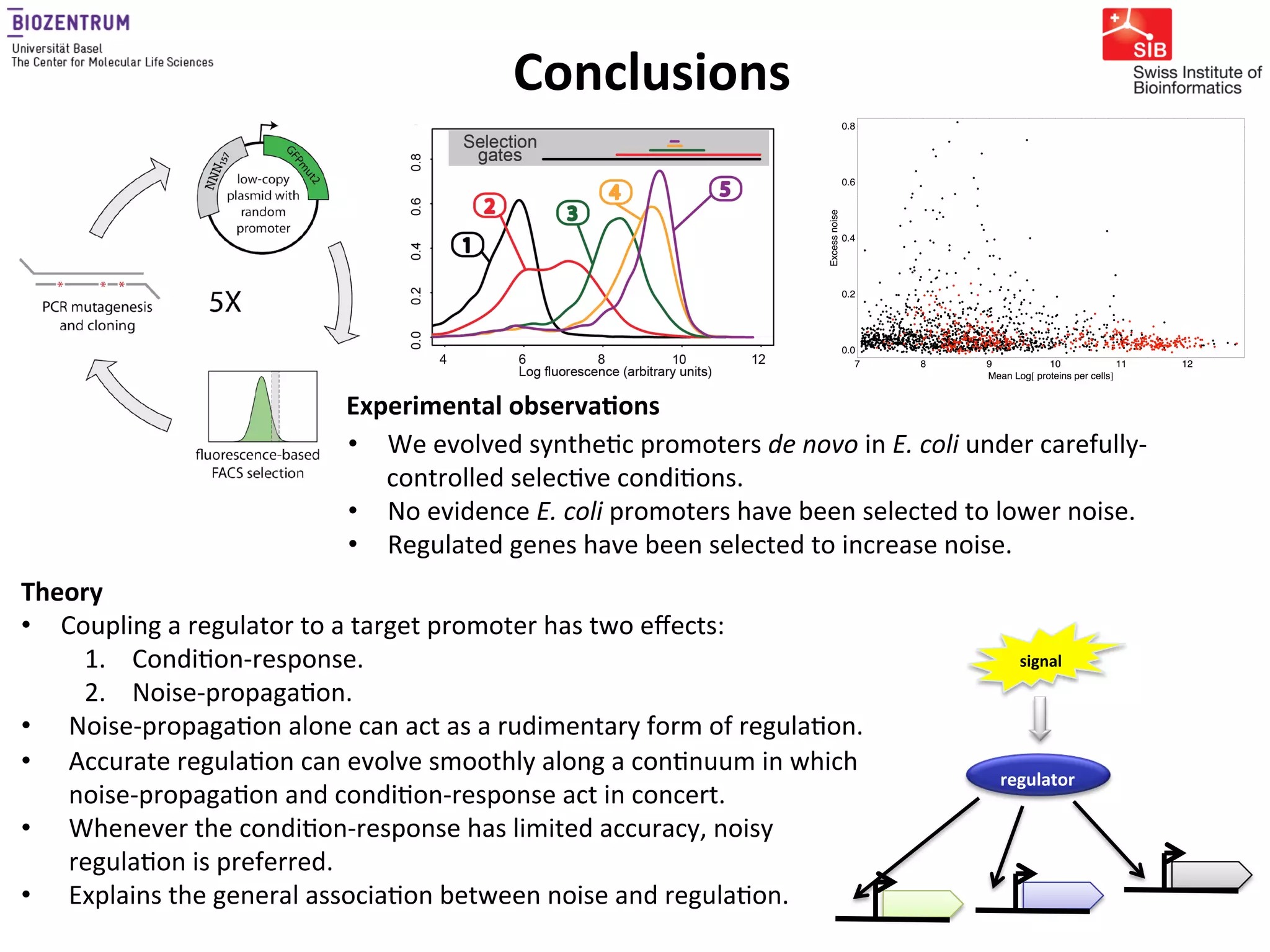 Gene expression noise, regulation, and noise propagation - Erik van ...