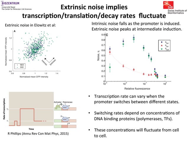 Gene expression noise, regulation, and noise propagation - Erik van ...