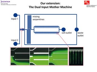 Gene expression noise, regulation, and noise propagation - Erik van ...