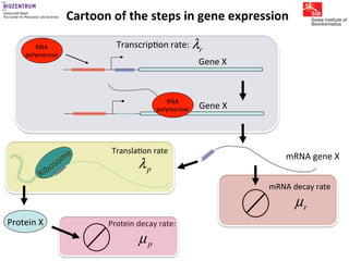 Gene expression noise, regulation, and noise propagation - Erik van ...