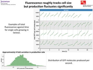 Gene expression noise, regulation, and noise propagation - Erik van ...