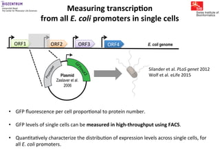 Gene expression noise, regulation, and noise propagation - Erik van ...