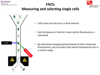 Gene expression noise, regulation, and noise propagation - Erik van ...
