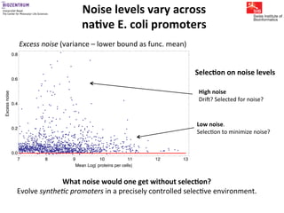 Gene expression noise, regulation, and noise propagation - Erik van ...