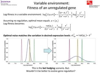Gene expression noise, regulation, and noise propagation - Erik van ...