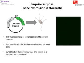 Gene expression noise, regulation, and noise propagation - Erik van ...