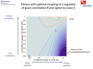 Gene expression noise, regulation, and noise propagation - Erik van ...