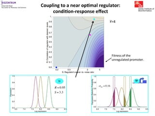 Gene expression noise, regulation, and noise propagation - Erik van ...
