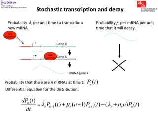 Gene expression noise, regulation, and noise propagation - Erik van ...