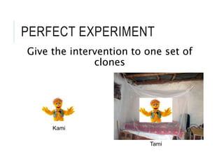 PERFECT EXPERIMENT
Give the intervention to one set of
clones
Kami
Tami
 