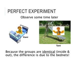 PERFECT EXPERIMENT
Observe some time later
Because the groups are identical (inside &
out), the difference is due to the bednets!
Kami
Tami
 